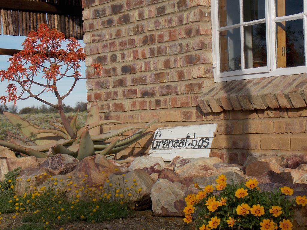 Wolvekraal Guest Farm Villa Prince Albert Ngoại thất bức ảnh